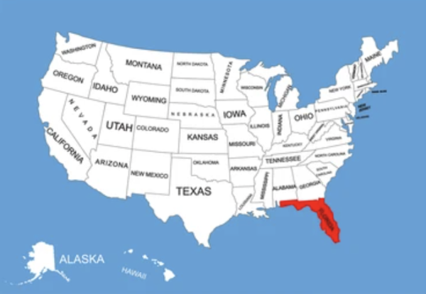 seo agency in florida