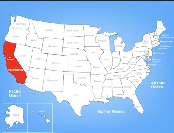 seo agency in california